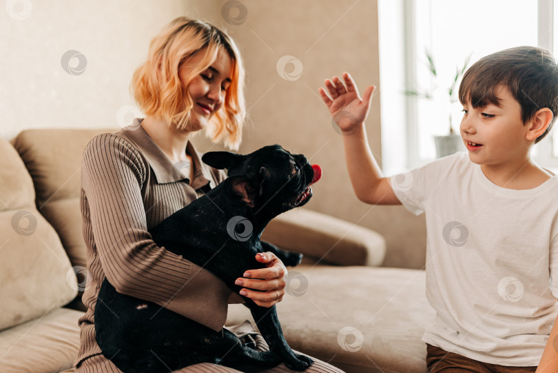 Скачать Дома счастливая семья играет со своей собакой черным французским бульдогом. Малыш весело проведет время в стильной гостиной с домашним животным фотосток Ozero