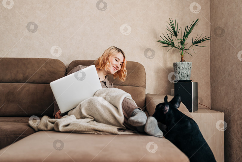 Скачать Молодая женщина, удаленно работающая с ноутбуком и проводящая день с домашним животным в интерьере квартиры. Вид спереди красивой молодой женщины, смотрящей на экран компьютера и разговаривающей с собакой, сидя на диване фотосток Ozero