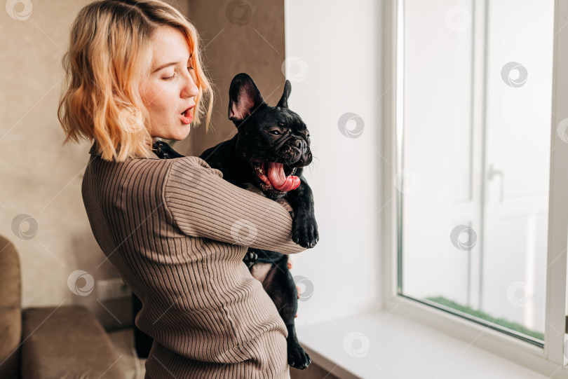 Скачать Женщина, держащая на руках щенка французского бульдога, милый прекрасный момент владельца-любителя собак. Счастливый питомец, живущий в квартире фотосток Ozero