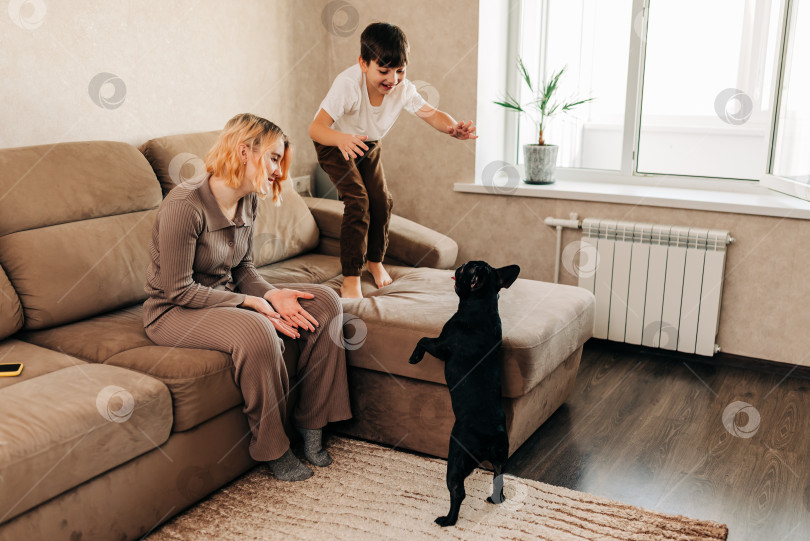 Скачать Дома счастливая семья играет со своей собакой черным французским бульдогом. Малыш весело проведет время в стильной гостиной с домашним животным фотосток Ozero