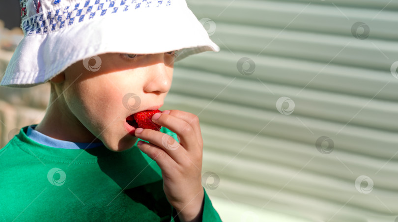 Скачать Мальчик в панаме ест сладкую красную клубнику. Пространство для копирования фотосток Ozero