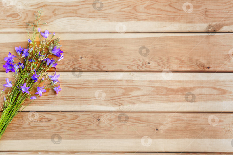 Скачать Фиолетовые цветы-колокольчики на деревянном фоне для поздравлений. Место для копирования. фотосток Ozero