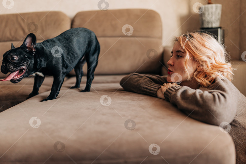 Скачать Счастливая женщина играет со своей собакой черным французским бульдогом. Девочка гладит щенка в помещении в стильной гостиной с пледом на диване фотосток Ozero