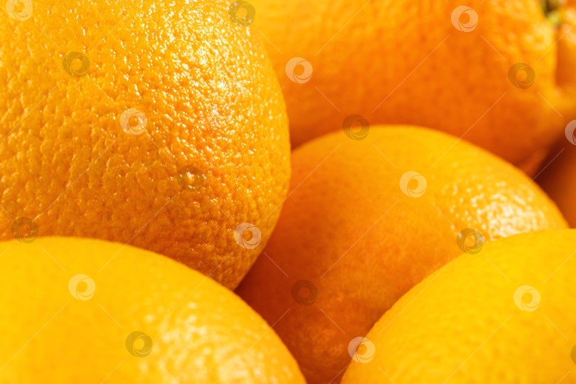 Скачать спелые апельсины фотосток Ozero