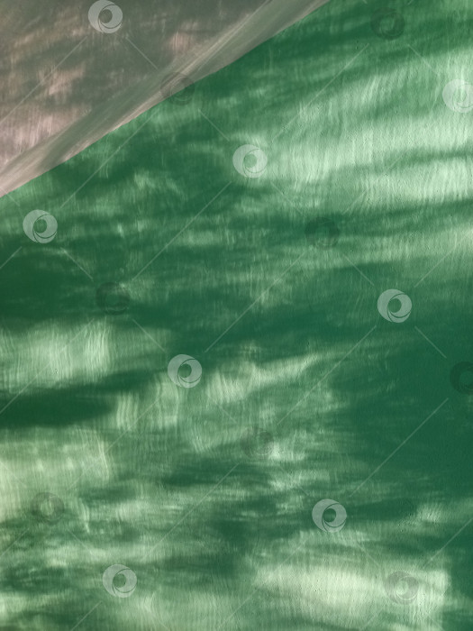 Скачать Фото фон мятно-зеленого оттенка с белым ракурсом, освещенный лучами солнца фотосток Ozero