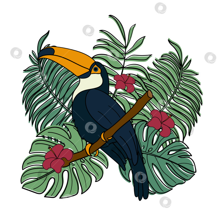 Скачать Иллюстрация тукана на ветке на фоне тропических листьев фотосток Ozero