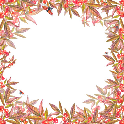 [object Object] undefined