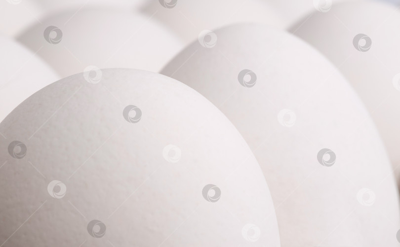 Скачать свежие белые куриные яйца в упаковке на светлом фоне фотосток Ozero
