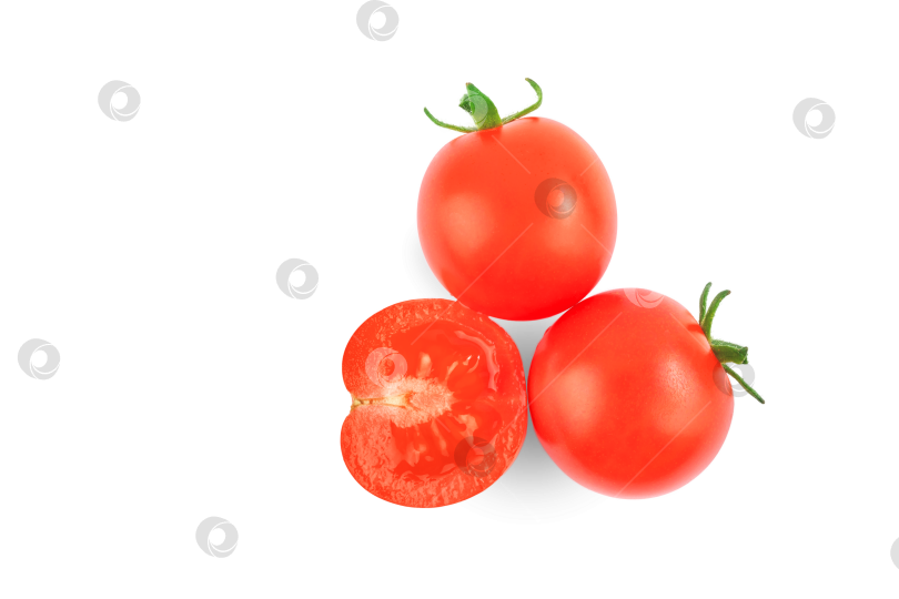 Скачать красные круглые помидоры на ветке, изолированные на белом фоне фотосток Ozero