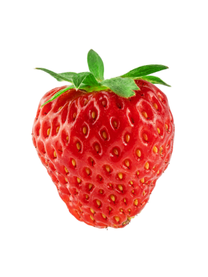 [object Object] undefined