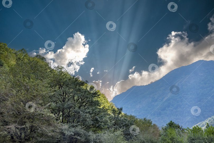 Скачать Горы и леса Абхазии. фотосток Ozero
