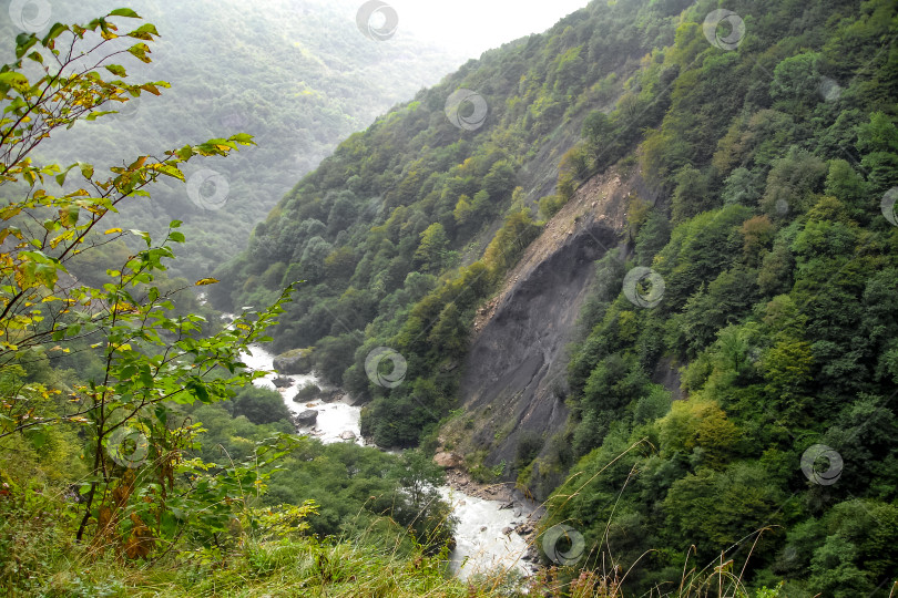 Скачать Река в горном ущелье. Величественный живописный вид. Экология. Забота об окружающей среде фотосток Ozero