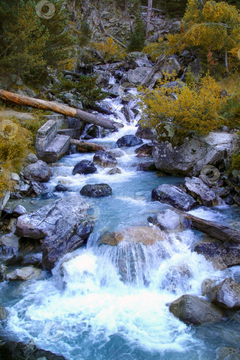 Скачать Лесной ручей с каскадами камней осенью. Вертикальный формат фотосток Ozero