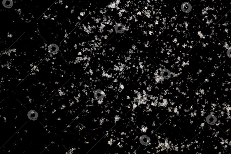 белые ледяные снежинки, изолированные на черном фоне, естественный фон -  Ozero - российский фотосток