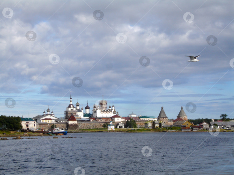 Скачать Вид на Белое море и Спасо-Преображенский Соловецкий монастырь летним днем. Соловецкие острова. Архангельская область. Россия фотосток Ozero