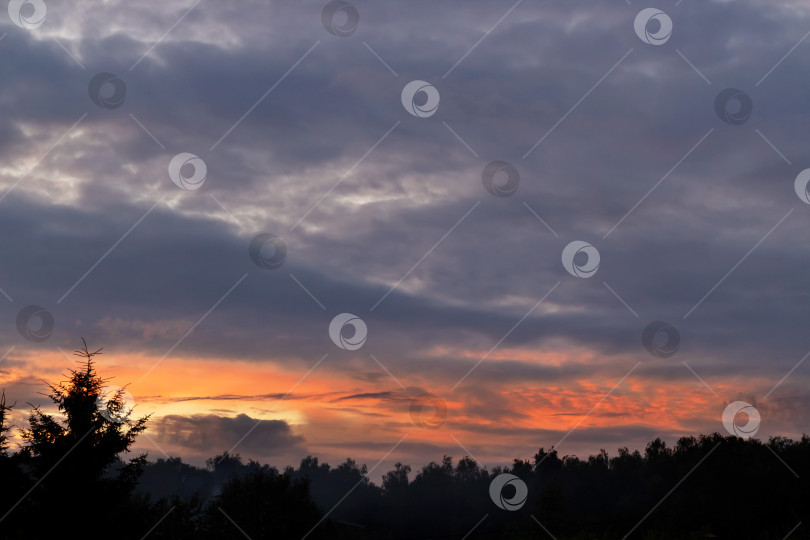 Скачать Темное закатное небо вечером в сумерках с ярким оранжевым солнечным светом над лесом фотосток Ozero