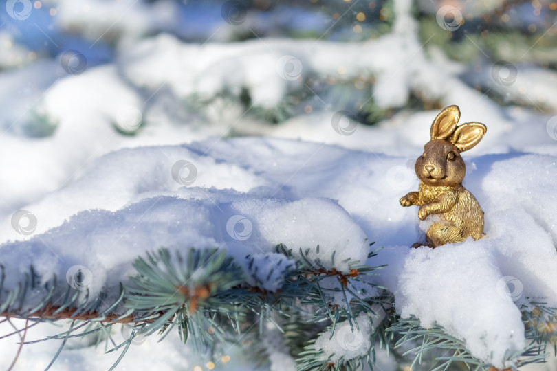 Скачать Золотой кролик - символ китайского Нового года на рождественской голубой ели, покрытой снегом, на открытом воздухе в ясный зимний день. С наступающим Новым 2023 годом. Место для текста. Макет, верстка фотосток Ozero