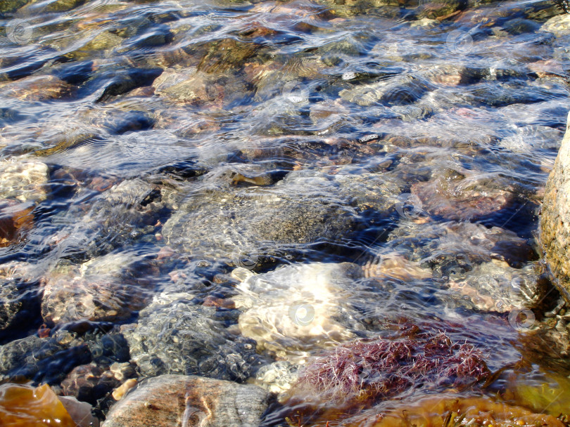 Скачать Большие камни и водоросли в прозрачной воде Белого моря с бликами солнца. Вид сверху. Морской фон фотосток Ozero