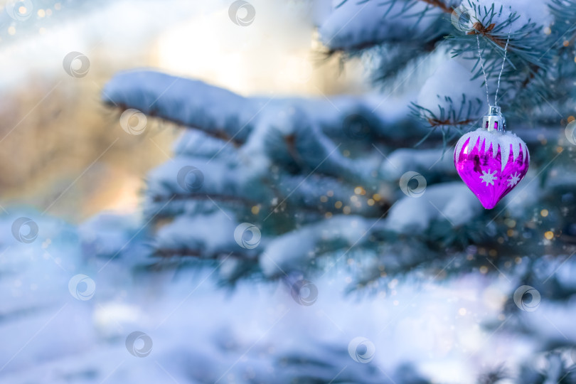 Скачать Рождественская голубая ель, покрытая снегом на открытом воздухе в ясный зимний день. Украшен праздничным декором - розовым сердечком. Счастливого Нового 2023 года и счастливого Рождества. с днем святого Валентина. Открытка. Пространство для копирования фотосток Ozero