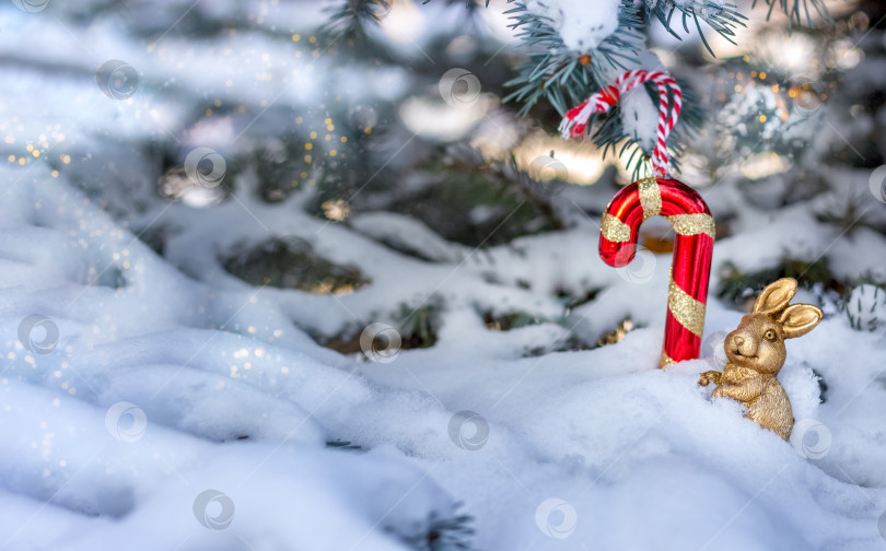 Скачать Рождественская голубая ель, покрытая снегом на открытом воздухе в ясный зимний день. Украшен золотым кроликом (символом года) и красным леденцом на палочке. С наступающим Новым 2023 годом. Открытка фотосток Ozero