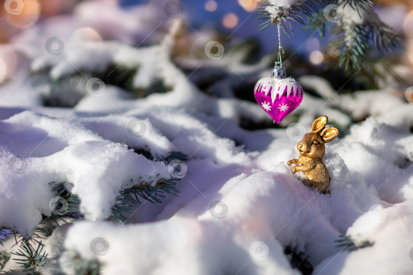 Скачать Рождественская голубая ель, покрытая снегом на открытом воздухе в ясный зимний день. Украшен праздничным декором - золотым кроликом (символ года) и розовым сердечком. С наступающим Новым 2023 годом. Открытка фотосток Ozero