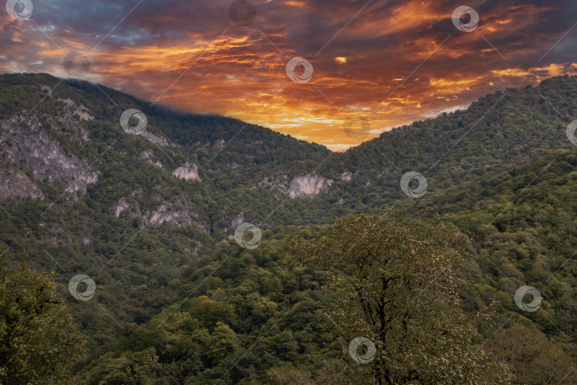 Скачать Горы и леса Абхазии. фотосток Ozero