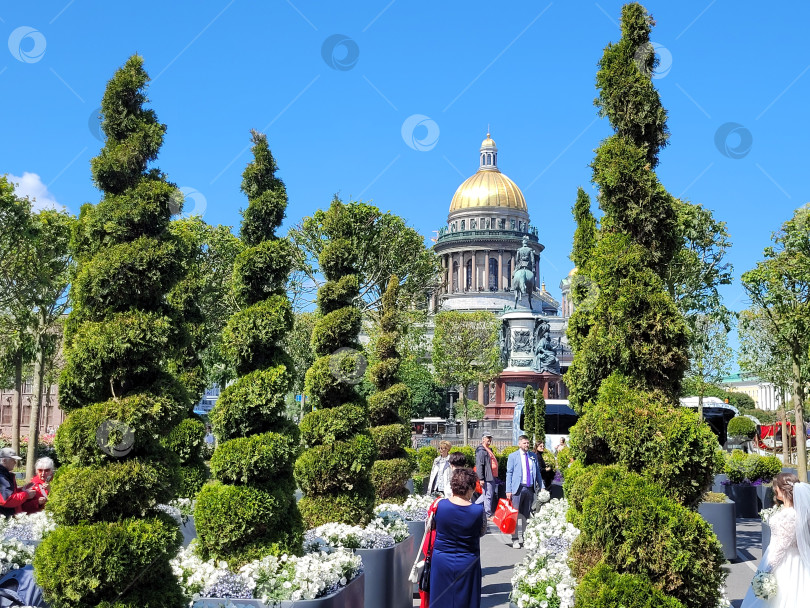 Скачать Искусственный сад на Исаакиевской площади фотосток Ozero