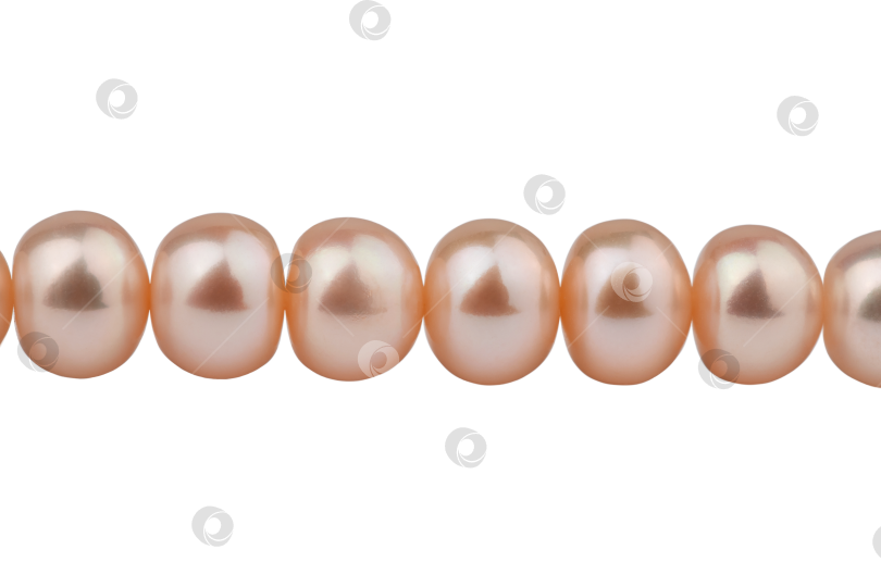 Скачать две нитки натурального розового жемчуга, бусины, изолированные фотосток Ozero