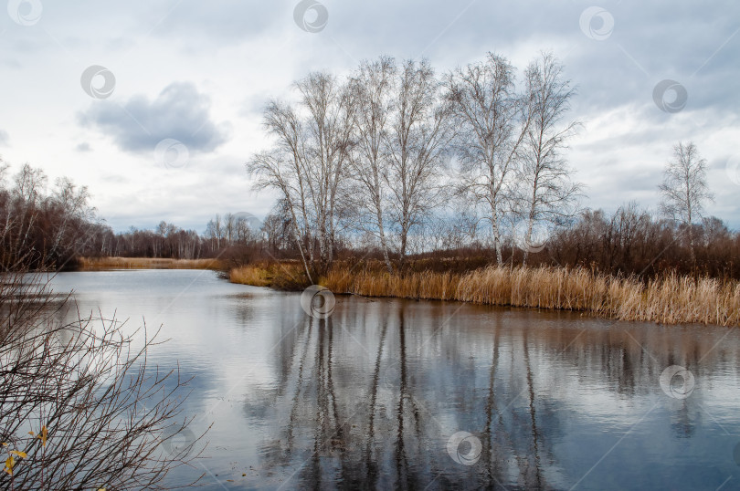 Скачать Осеннее озеро фотосток Ozero