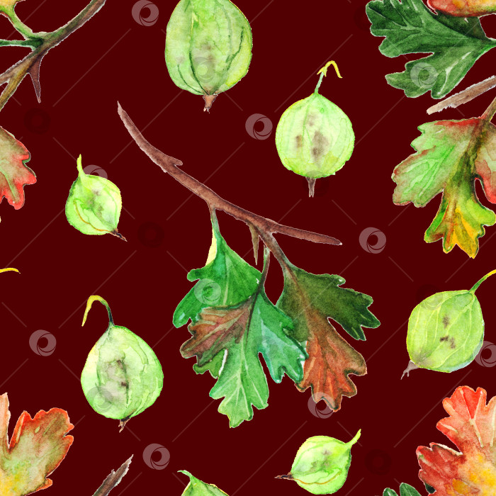 Скачать Акварель крыжовник ягода лист ветка бесшовный узор текстурный фон фотосток Ozero