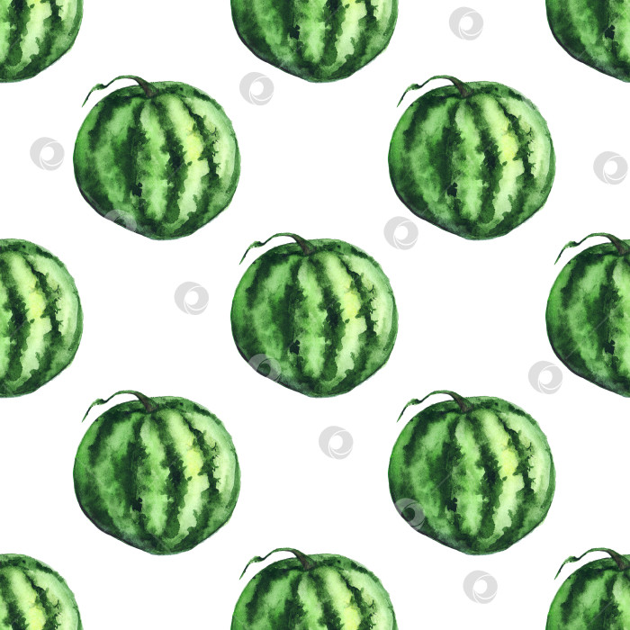 Скачать Акварель в зеленую полоску арбуз спелый сырой фрукт ягода бесшовный узор текстурный фон фотосток Ozero