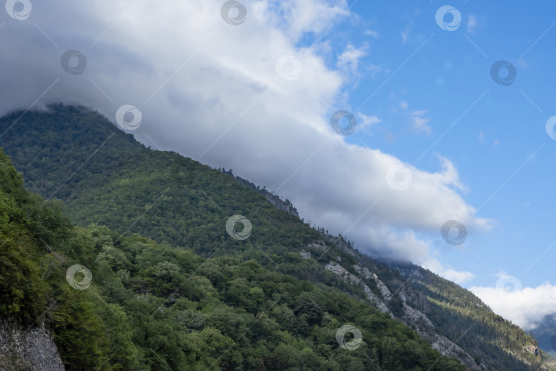 Скачать Горы и леса Абхазии. фотосток Ozero