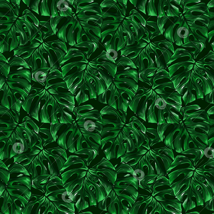 Скачать Зеленый лист монстеры тропическое растение акварель тушь линия искусства рисованный эскиз бесшовный узор текстура фона фотосток Ozero