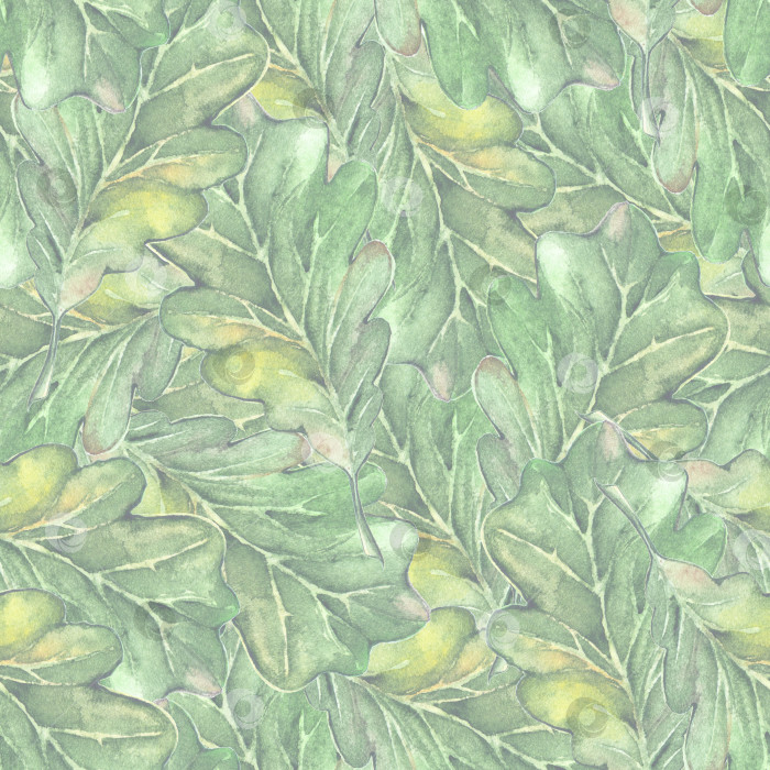 Скачать Акварель три дубовых зеленых листа семя желудя бесшовный фон с рисунком фотосток Ozero
