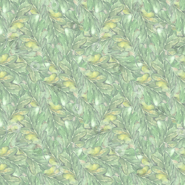 Скачать Акварель три дубовых зеленых листа семя желудя бесшовный фон с рисунком фотосток Ozero