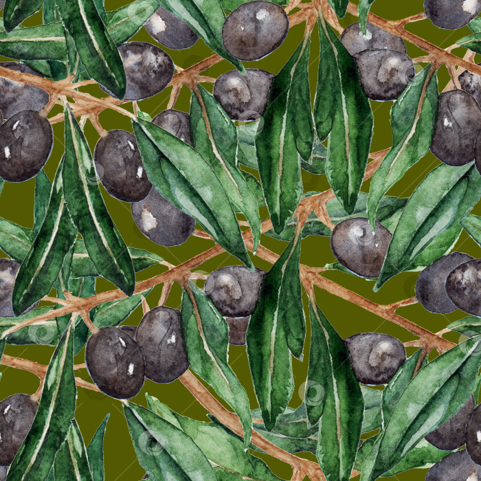Скачать Оливковые ветви оливы бесшовный узор текстурный фон фотосток Ozero