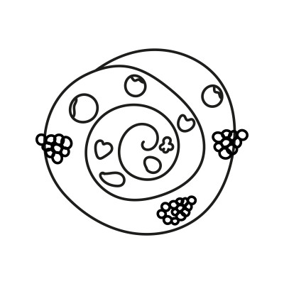 [object Object] undefined