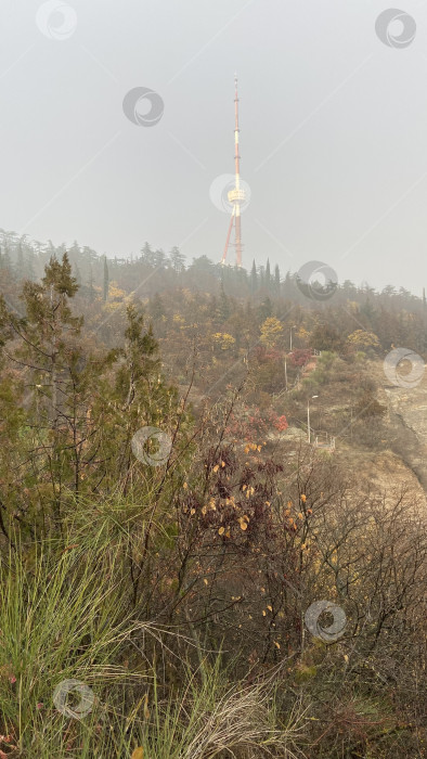 Скачать Вышка фотосток Ozero