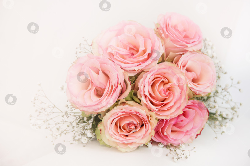 Скачать свадебная фотография в белом платье и букете розовых роз на светлом фоне фотосток Ozero