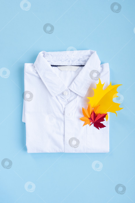 Скачать Белая рубашка с осенними листьями в кармане. Концепция "Назад в школу". фотосток Ozero