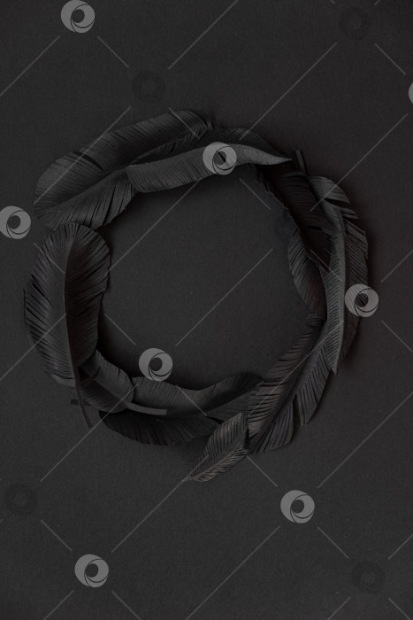 Скачать Детали из черных перьев, вырезанные из бумаги, абстрактный темный фон фотосток Ozero