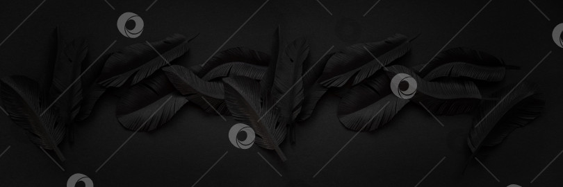 Скачать Детали из черных перьев, вырезанных из необходимую, абстракт абстракт. Абстракт фотосток Ozero