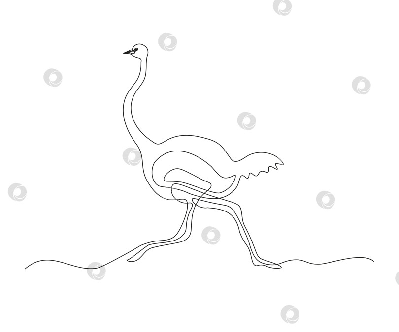 Скачать абстрактный бегущий страус Непрерывный рисунок в одну линию фотосток Ozero