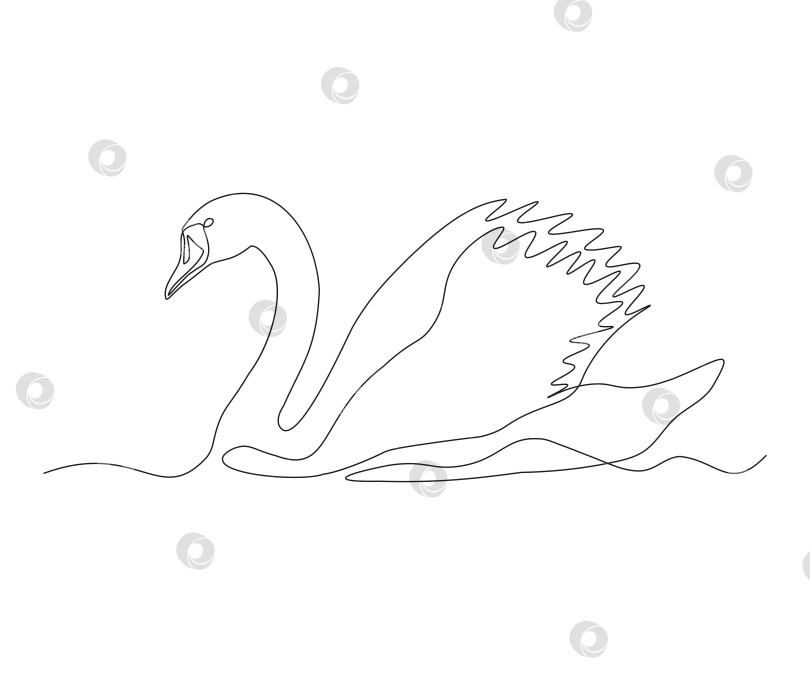 Скачать абстрактный рисунок птицы лебедь Непрерывный в одну линию фотосток Ozero