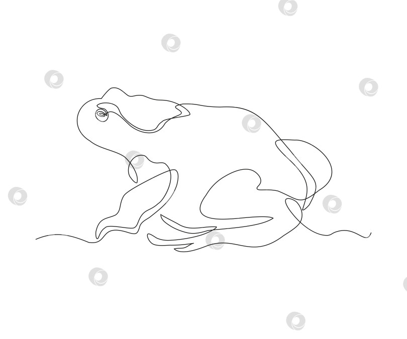 Скачать абстрактная лягушка, древесная лягушка, жаба Непрерывный рисунок в одну линию фотосток Ozero