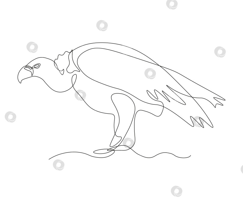 Скачать абстрактная хищная птица Гриф Непрерывный рисунок в одну линию фотосток Ozero