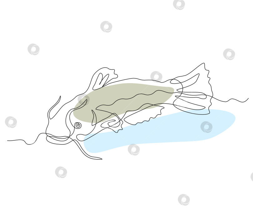 Скачать абстрактная хищная рыба с усами, Сом, непрерывный рисунок в одну линию фотосток Ozero