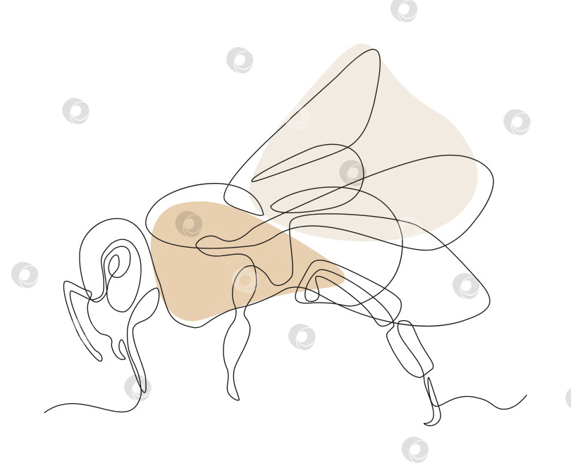Скачать абстрактный рисунок мухи, пчелы, шмеля непрерывной линией фотосток Ozero