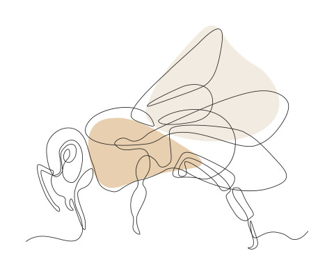 [object Object] undefined