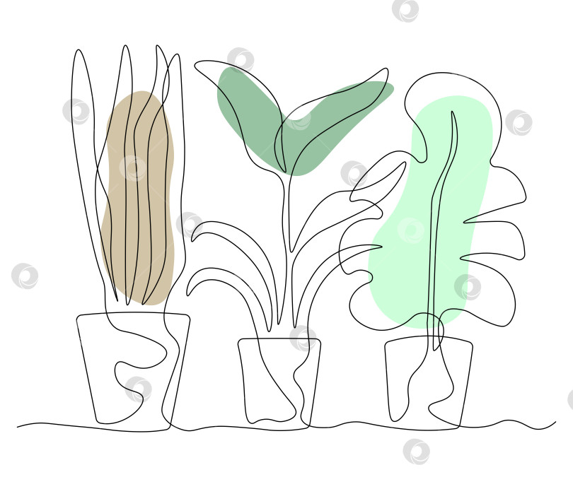 Скачать иллюстрация набора домашних растений в горшках в виде одной непрерывной линии фотосток Ozero